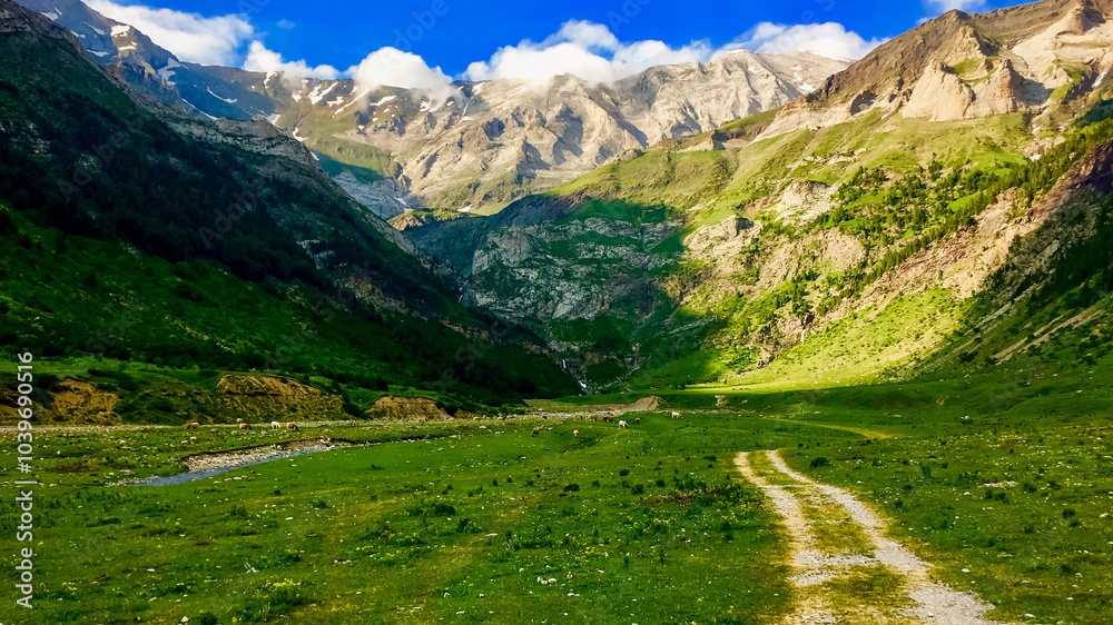 Obraz premium Scenic mountain valley landscape with a dirt path under a clear blue sky, ideal for nature tourism and adventure holidays