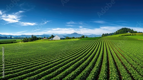 Serene Organic Farming: Sustainable Agriculture Practices in a Picturesque Rural Setting