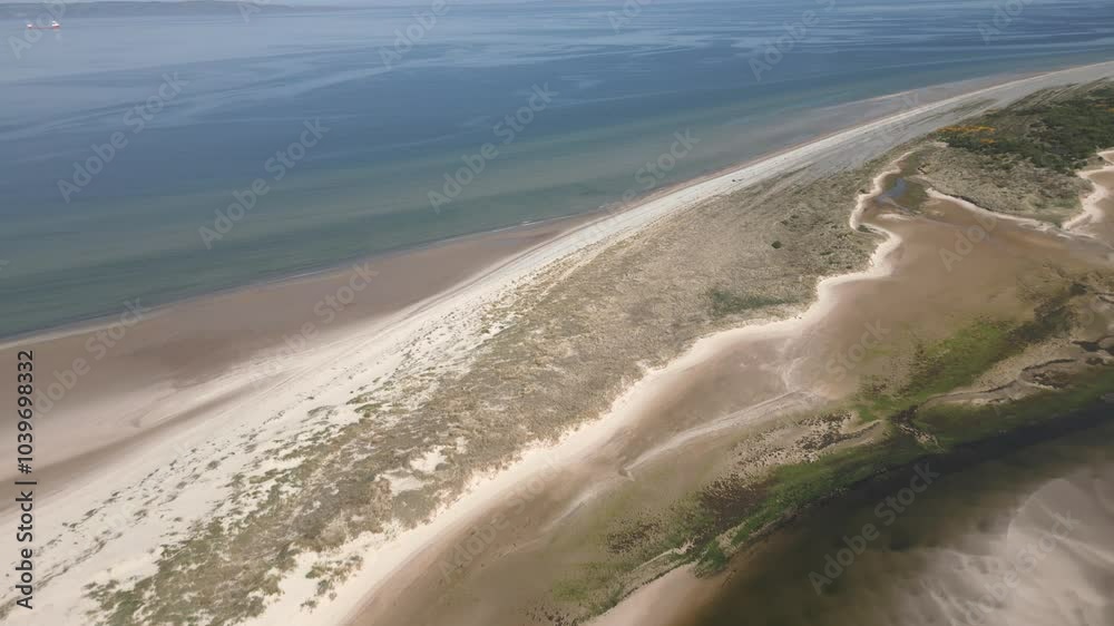 Drone shot along sea waves and beach with sandy shore with scattered seaweed Drone shot along sea waves and beach with sandy shore with scattered seaweed