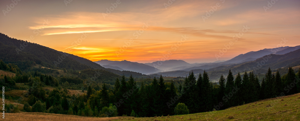panorama of countryside mountain landscape of ukraine in autumn at dawn. rural fields on forested hills. nice scenery of carpathian mountains in fall season