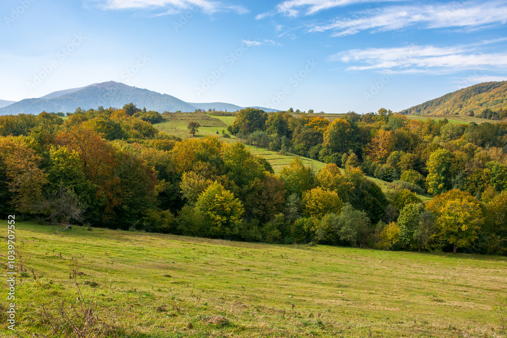 mountainous countryside landscape of ukraine in autumn. outdoor adventure on a sunny day. rural fields on forested hills. nice scenery of carpathian mountains in fall season