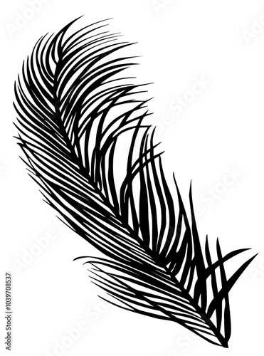 Silhouette of tropical palm tree leaves isolated on white background on vector