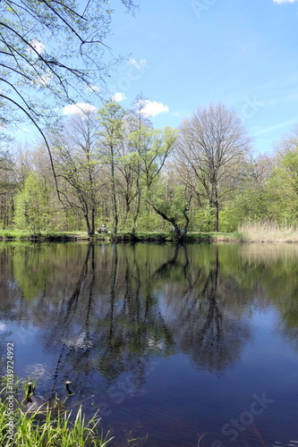 Seerosenweiher bei Muehlheim am Main photo