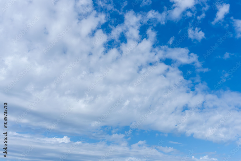 Fototapeta premium 秋の空と雲034