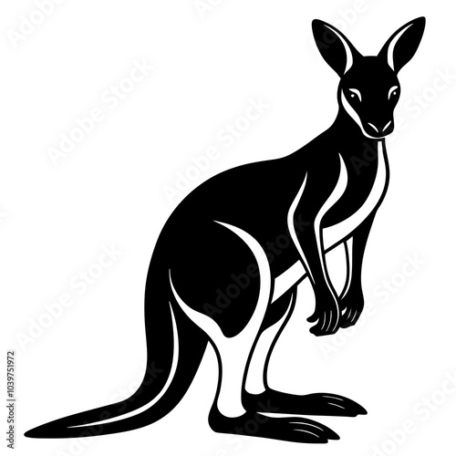 kangaroo vector illustration