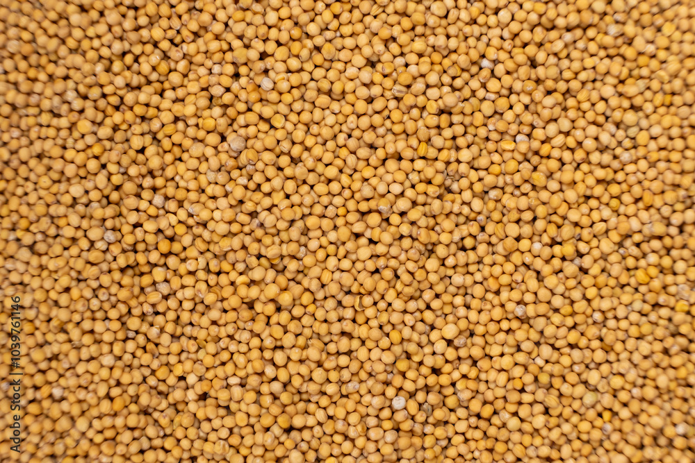 Yellow Dry Mustard Seed Background, Natural Organic Seasoning, Top View. Yellow Dry Mustard Seed Background, Natural Organic Seasoning, Top View.