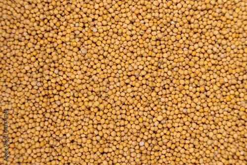 Yellow Dry Mustard Seed Background, Natural Organic Seasoning, Top View.