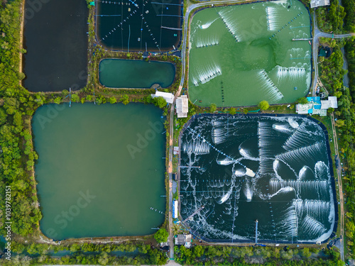 Aerial view of the prawn farm in Nakhon Si Thammarat Province in Thailand