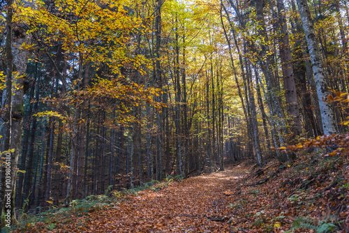 Nature and viewpoints of the mountain Bobija in Western Serbia, near the town of Valjevo. A nature reserve with hiking, landscape trails and a natural background.