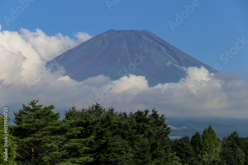 Wallpaper Mural Japan’s Mt. Fuji in summer season Torontodigital.ca