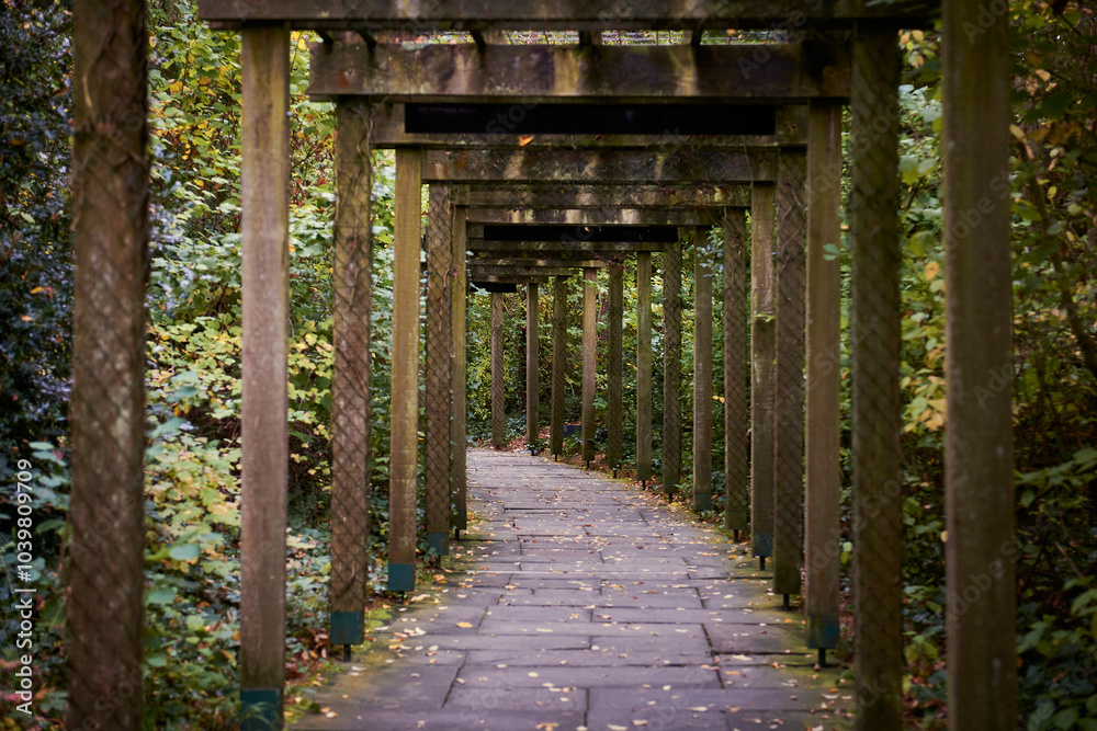 Wooden pergola in a forest pathway during autumn Wooden pergola in a forest pathway during autumn