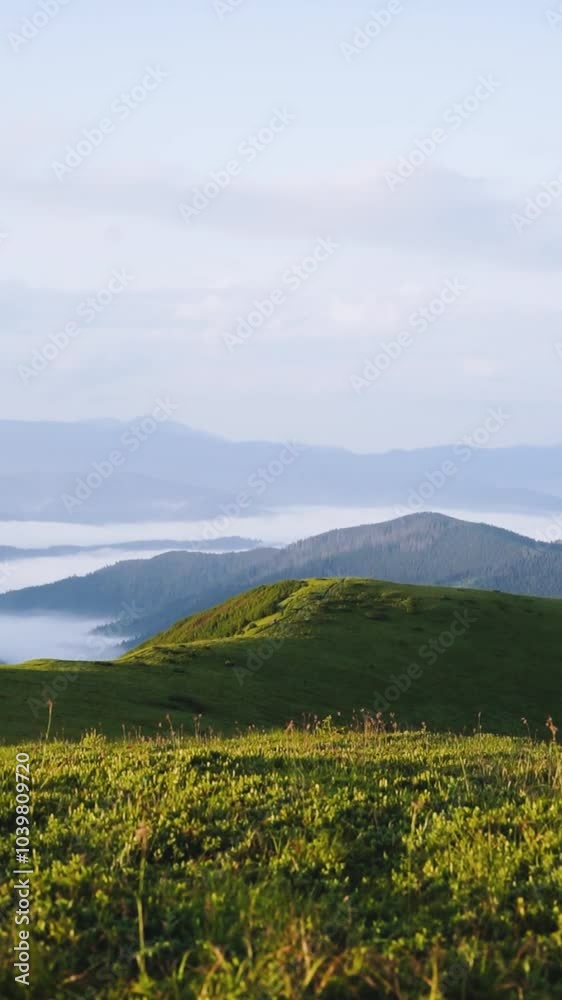 landscape in the mountains, blue sky and silhouettes of peaks, misty fog, beauty of nature, travel, Carpathians, soft dawn light landscape in the mountains, blue sky and silhouettes of peaks, misty fog, beauty of nature, travel, Carpathians, soft dawn light