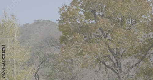 4K, Vlog, Camping in Korea's Colorful Nature
