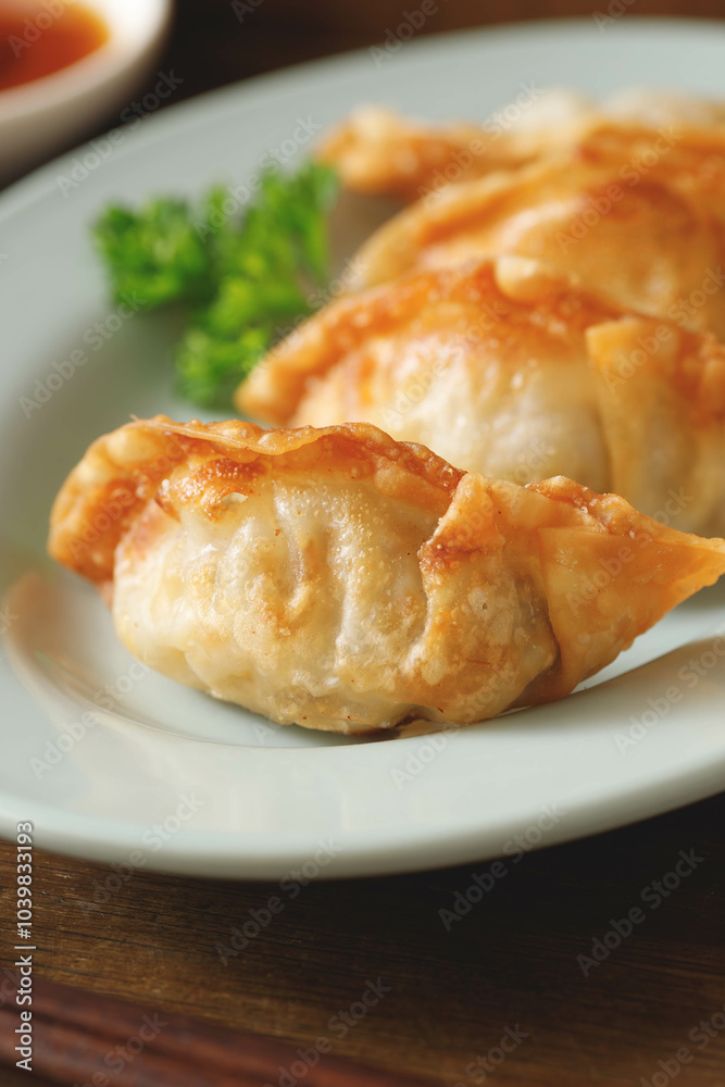 揚げ餃子 揚げ餃子