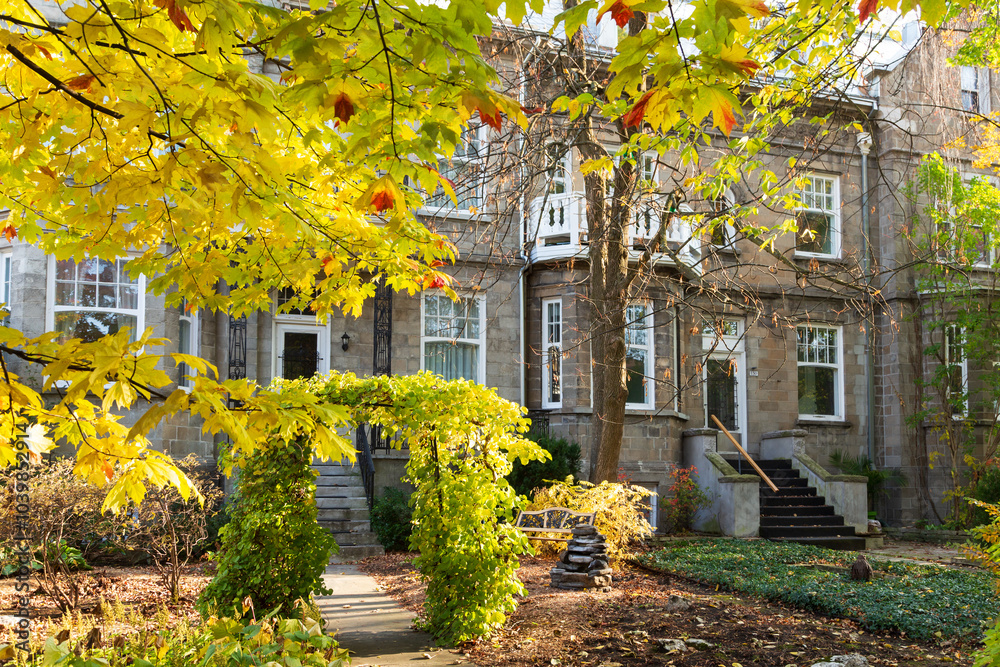 Fototapeta premium Row of historic attached houses seen during a sunny fall morning in the Montcalm area of Quebec City, Quebec, Canada