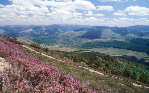 Landscape Catalonian. A diverse Country. Emporda. 