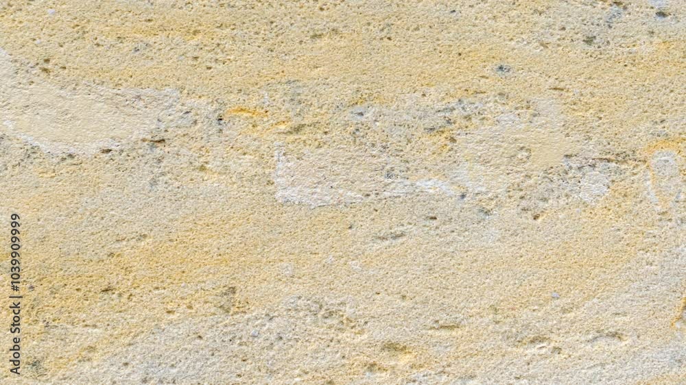 light limestone with interesting texture visible. background light limestone with interesting texture visible. background