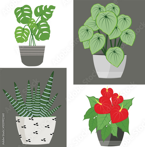 Vector illustration of house or indoor plant