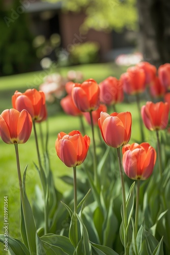 A garden scene filled with blooming red tulips amidst lush greenery, representing beauty and renewal.