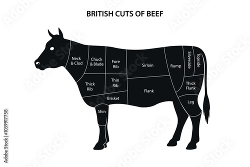 Diagram of British Beef Cuts on Cattle Silhouette