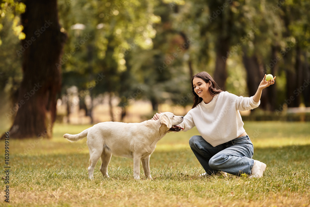 Wall Mural A young woman dressed in cozy autumn attire enjoys a playful interaction with her dog in the park