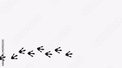 Cute dinosaur footprints video. Animation of Paw trail prints on white background. 4K