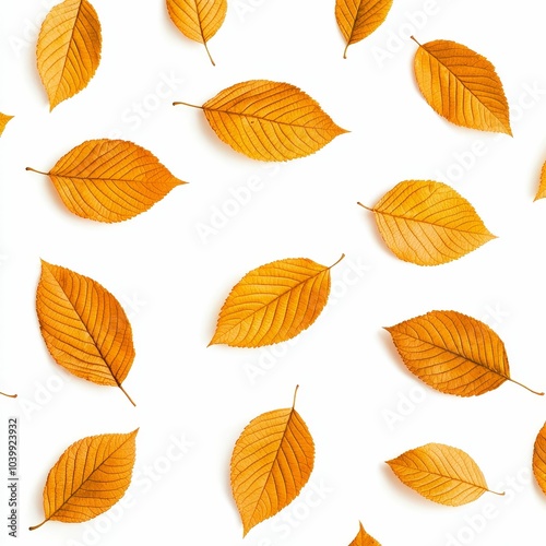 A pattern of vibrant orange leaves scattered on a white background, creating a warm and seasonal aesthetic.