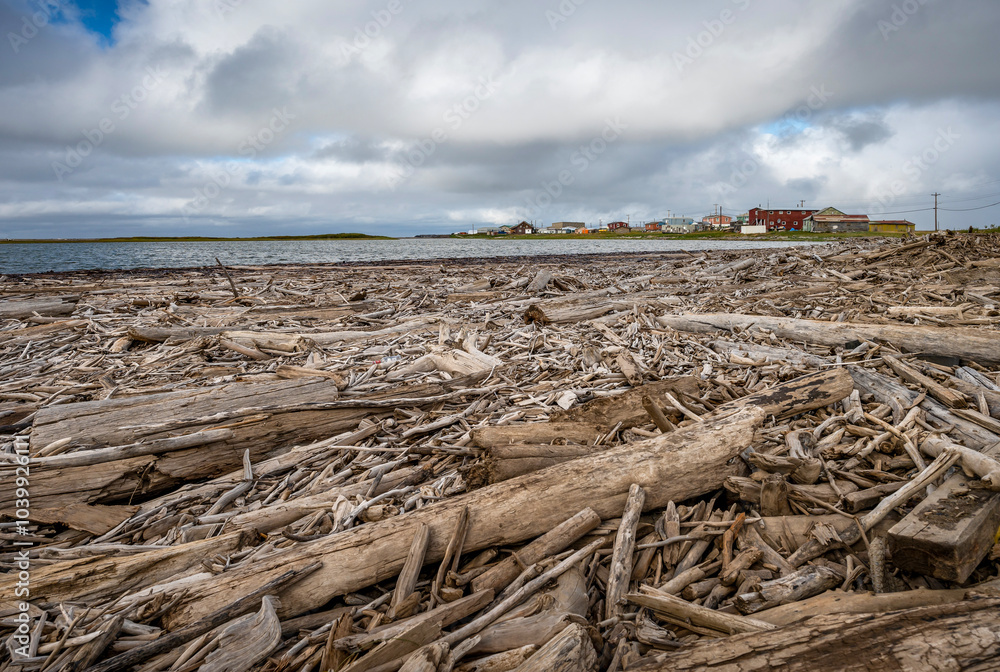 Drifting logs on the Arctic Ocean at the Mackenzie Delta at Tuktoyaktuk, Northwest Territories, Canada Drifting logs on the Arctic Ocean at the Mackenzie Delta at Tuktoyaktuk, Northwest Territories, Canada