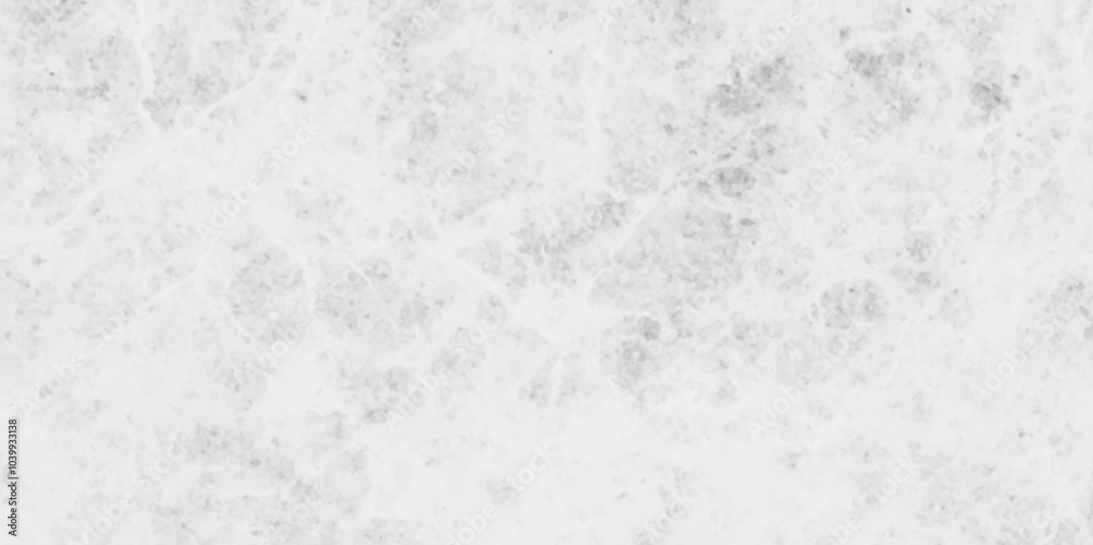 Vector old grunge wall black and white dust ,white scratch dust crack wall white dust texture of Subtle grain texture overlay. while the black grunge abstract backdrop creates a dramatic effect. Vector old grunge wall black and white dust ,white scratch dust crack wall white dust texture of Subtle grain texture overlay. while the black grunge abstract backdrop creates a dramatic effect.