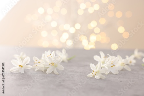 Beautiful jasmine flowers on grey surface against beige background with blurred lights, closeup