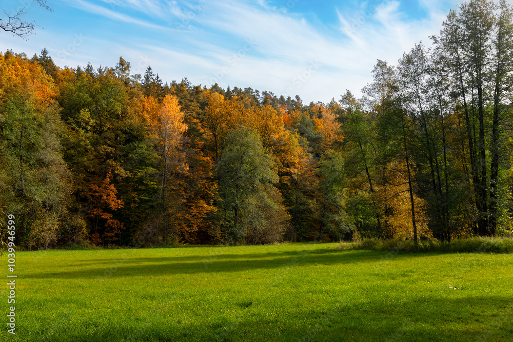 A field surrounded by a forest area in autumn sometimes.