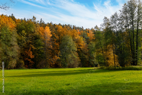 Obraz na płótnie A field surrounded by a forest area in autumn sometimes. w salonie
