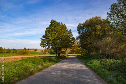 Obraz na płótnie A peaceful countryside road autumnal fields and serene natural surroundings. w salonie