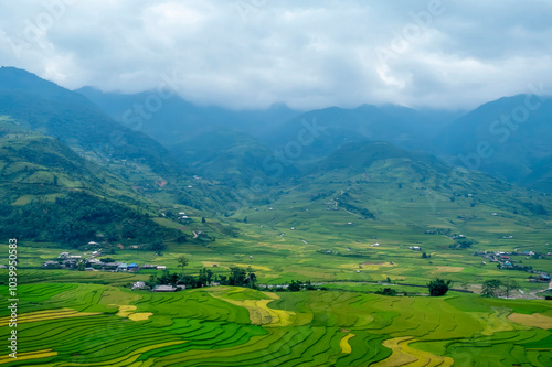 Rice terrace Field Green agriculture rainny season dark cloud amazing landscape. Sustainable Ecosystem rice paddy field Vietnam green nature farm land. Golden green rice terraces tropical landscape