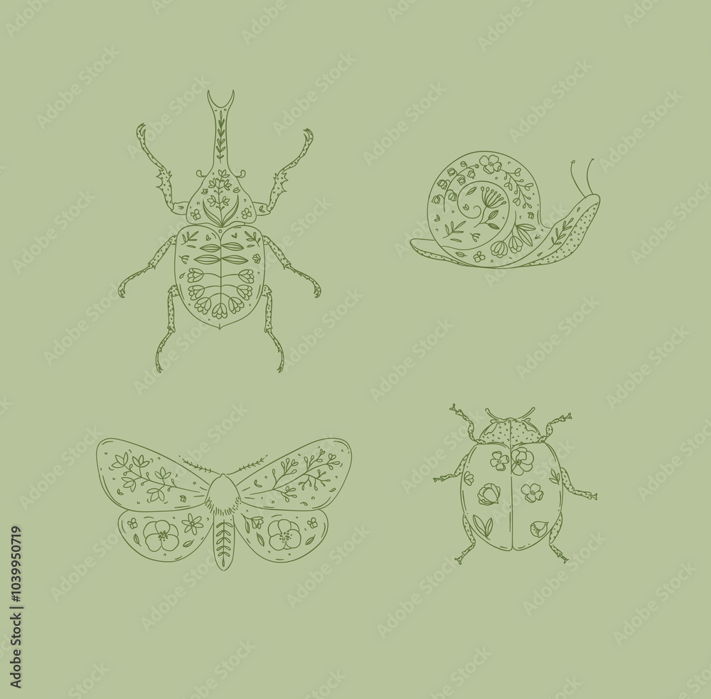 Beetles elements rhinoceros beetle, snail, moth, ladybug drawing in floral style on green background