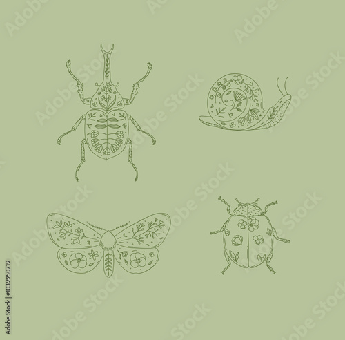 Obraz na płótnie Beetles elements rhinoceros beetle, snail, moth, ladybug drawing in floral style on green background w salonie