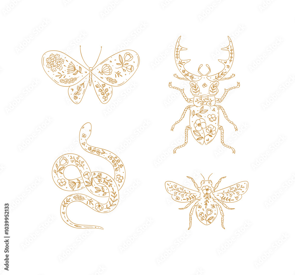 Beetles elements stag beetle, snake, moth, insect drawing in floral style with beige on light background