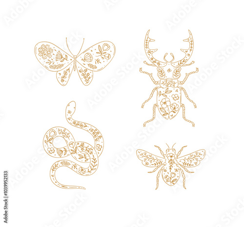 Obraz na płótnie Beetles elements stag beetle, snake, moth, insect drawing in floral style with beige on light background w salonie
