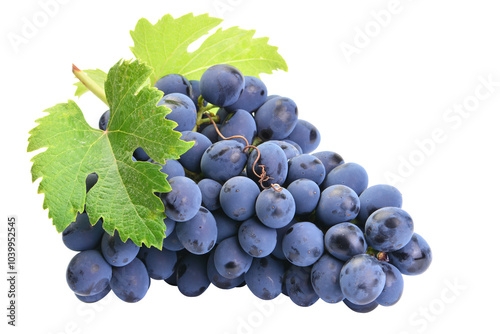 Bunch of grapes isolated on white