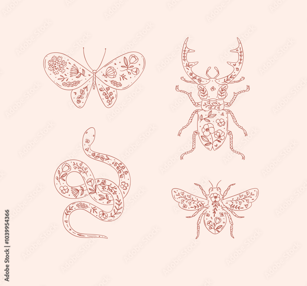 Beetles elements stag beetle, snake, moth, insect drawing in floral style with red on pink background