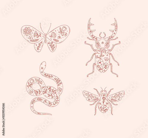 Obraz na płótnie Beetles elements stag beetle, snake, moth, insect drawing in floral style with red on pink background w salonie