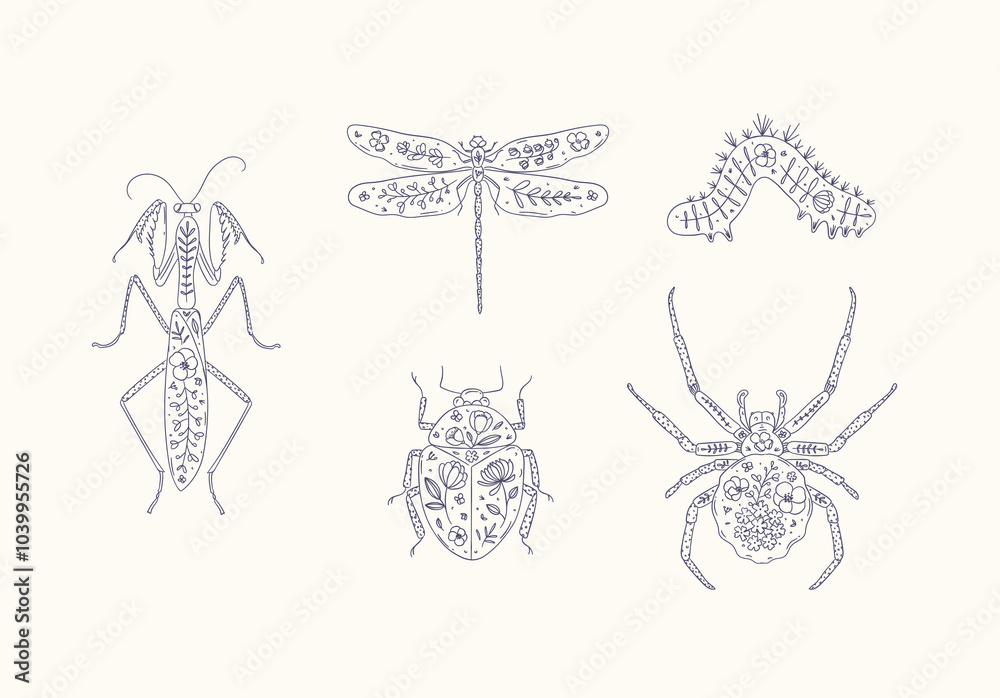 Beetles elements mantis, dragonfly, spider, caterpillar, insect drawing in floral style with blue on beige background