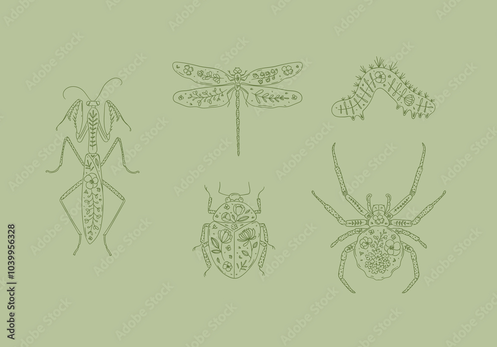 Beetles elements mantis, dragonfly, spider, caterpillar, insect drawing in floral style on green background