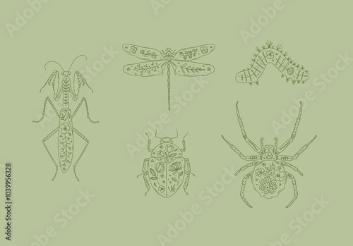 Obraz na płótnie Beetles elements mantis, dragonfly, spider, caterpillar, insect drawing in floral style on green background w salonie