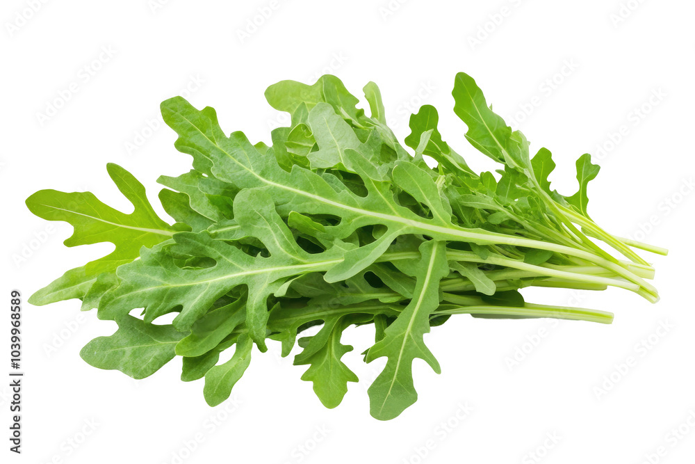 Fresh arugula leaves, vibrant green color, crisp texture, healthy leafy vegetable, ideal for salads and garnishes, visually appealing on white backdrop Fresh arugula leaves, vibrant green color, crisp texture, healthy leafy vegetable, ideal for salads and garnishes, visually appealing on white backdrop