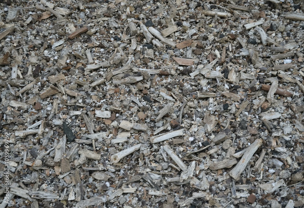 Close-Up of Ground Surface with Rocks and Twigs Close-Up of Ground Surface with Rocks and Twigs