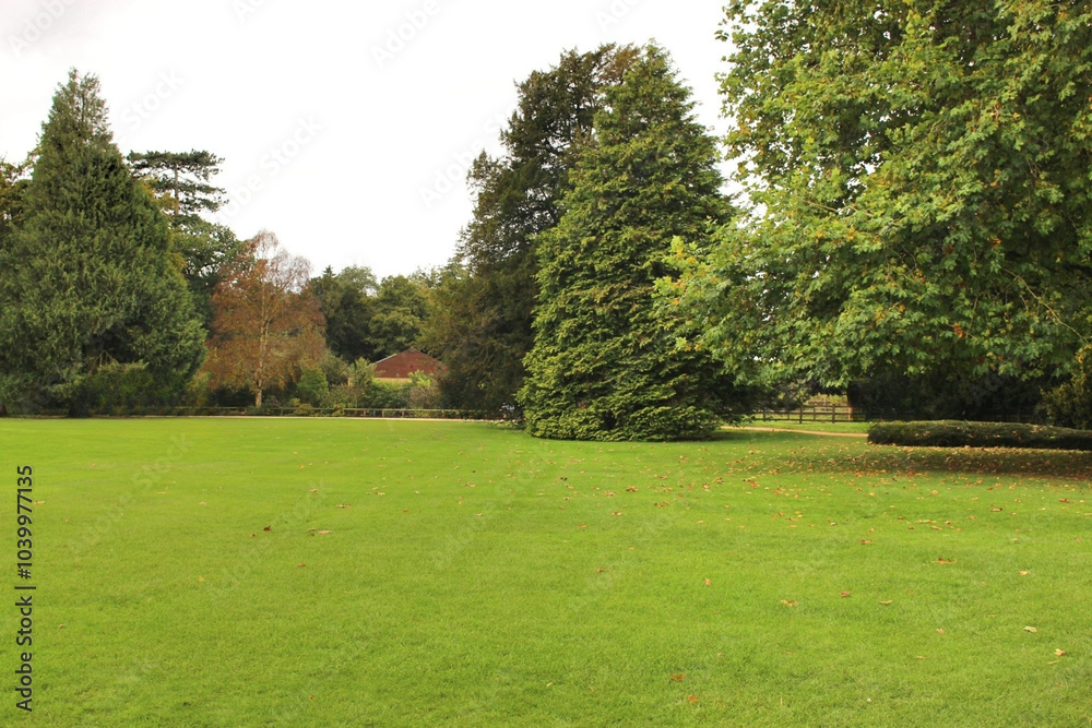Fototapeta premium path in the park