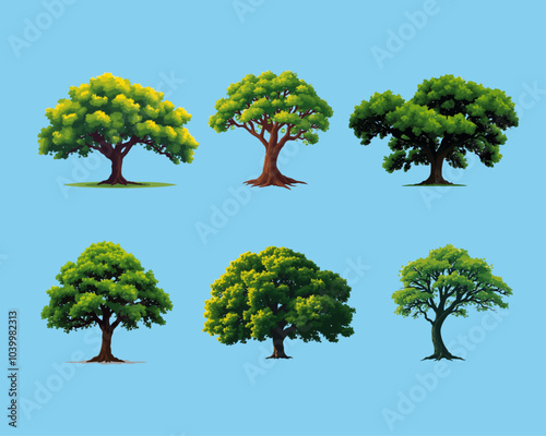 Vector illustration set of 6 diverse trees
