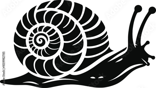 snail on a white background