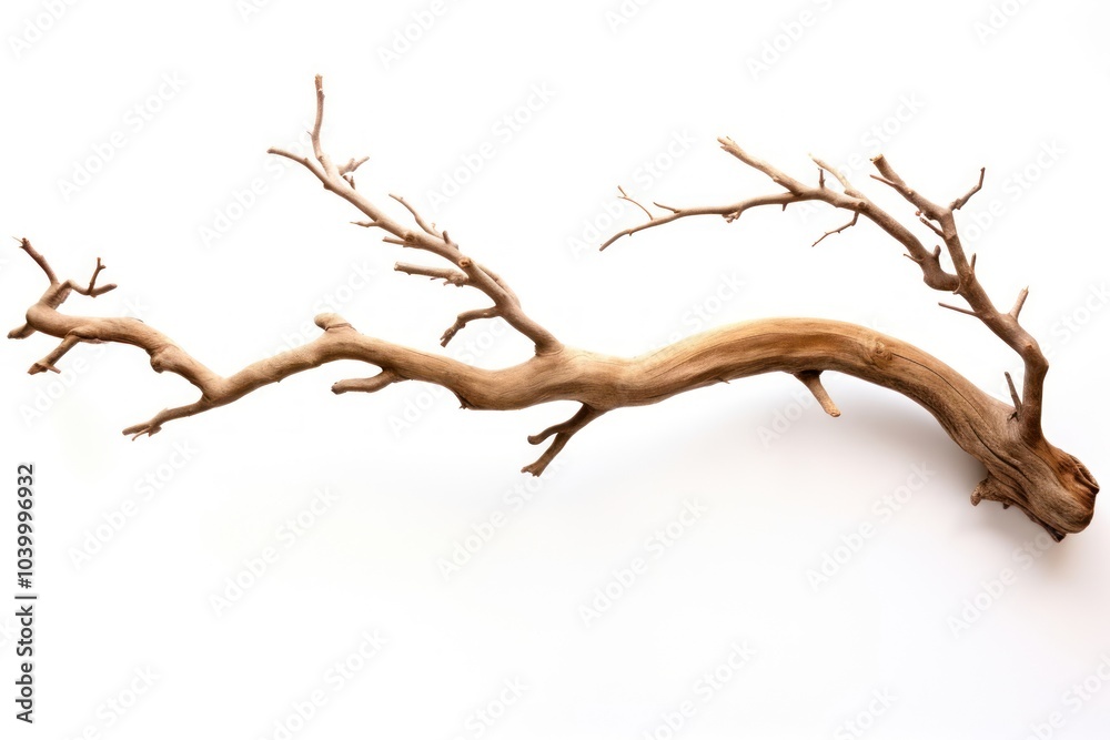 Fototapeta premium Bark tree driftwood branch antler.